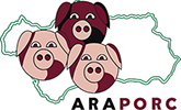 Asociación Regional Andaluza de Porcino