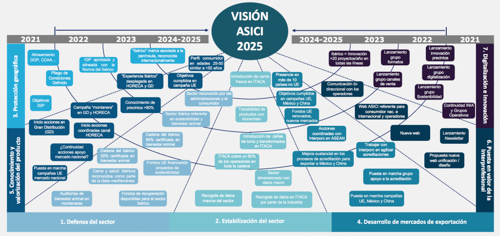 Plan Estratégico de ASICI 2025