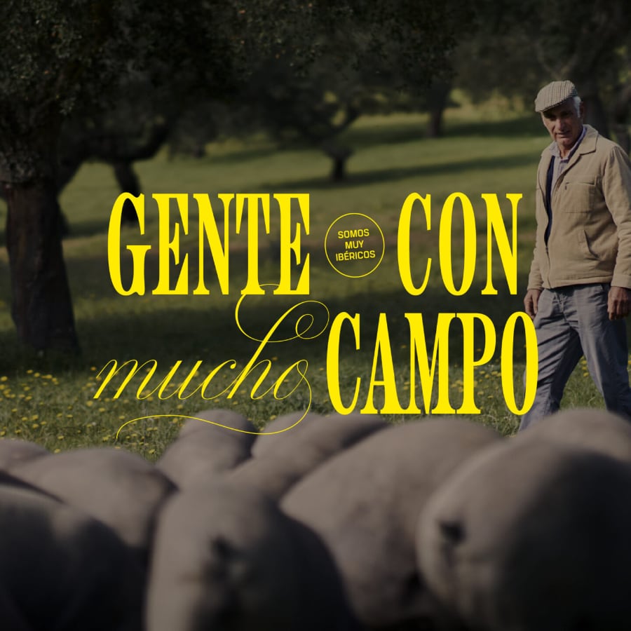 gcmc-historico-promo