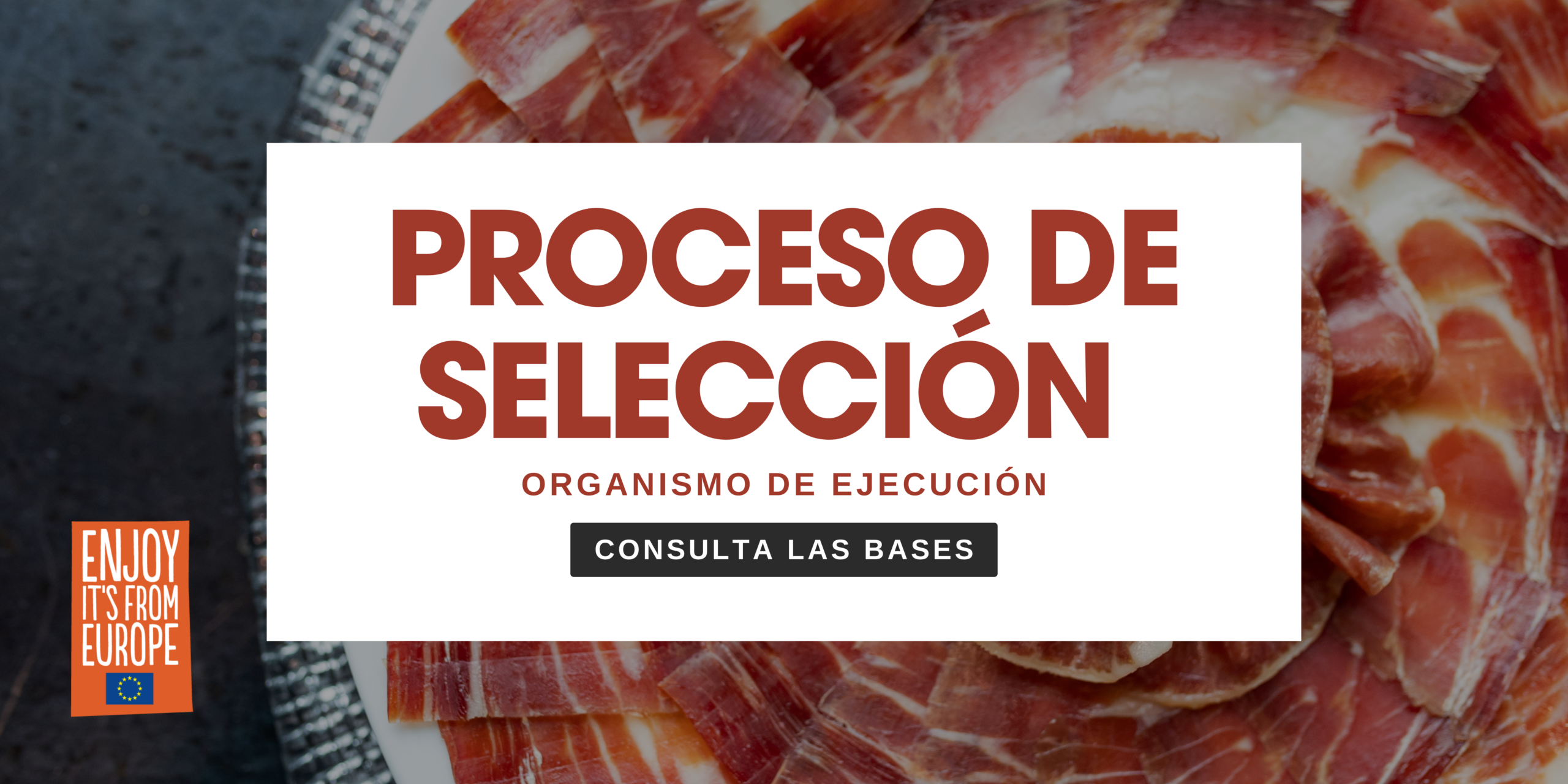 Proceso de selección del Organismo de Ejecución